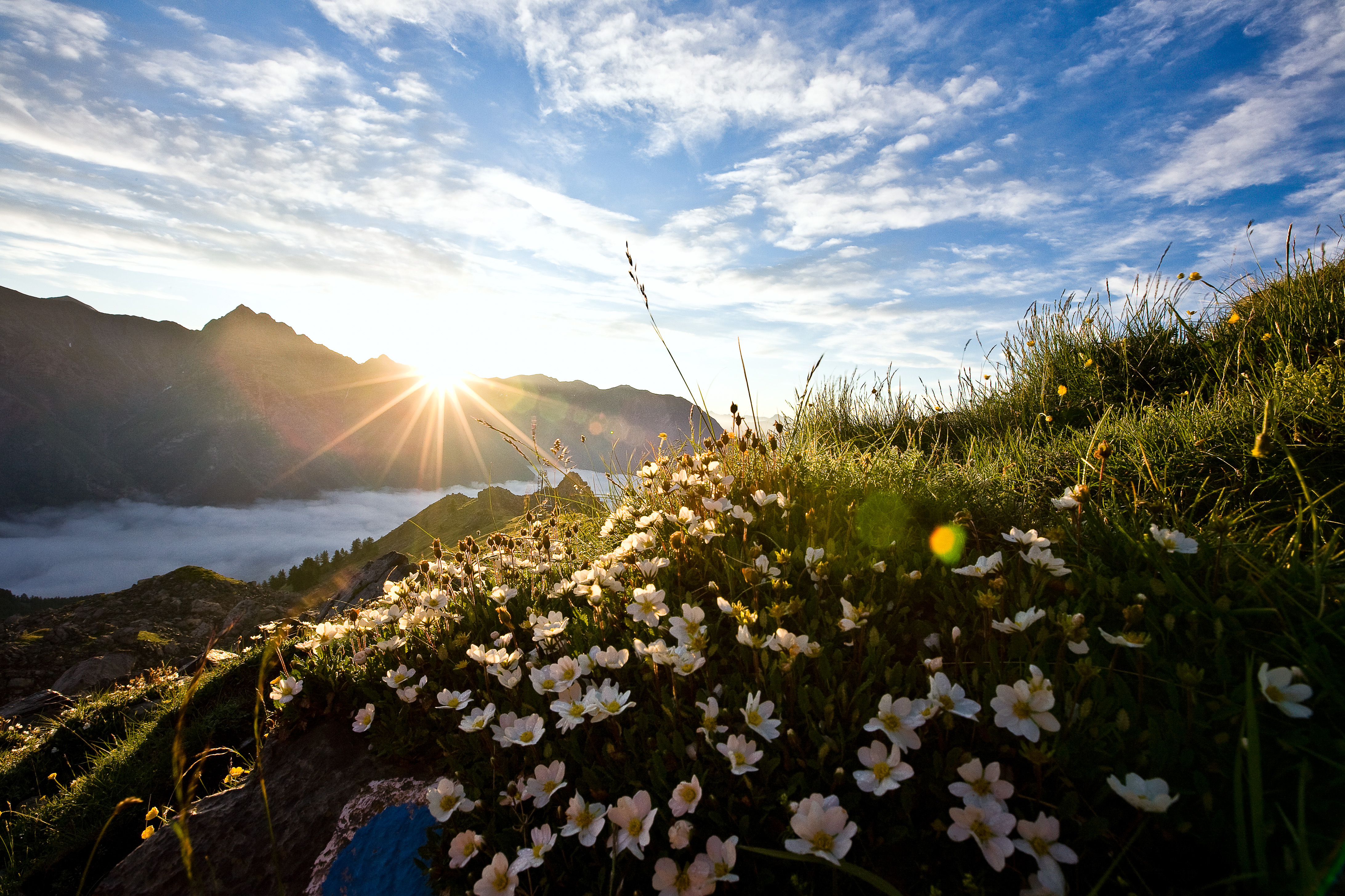 Alpes du Sud