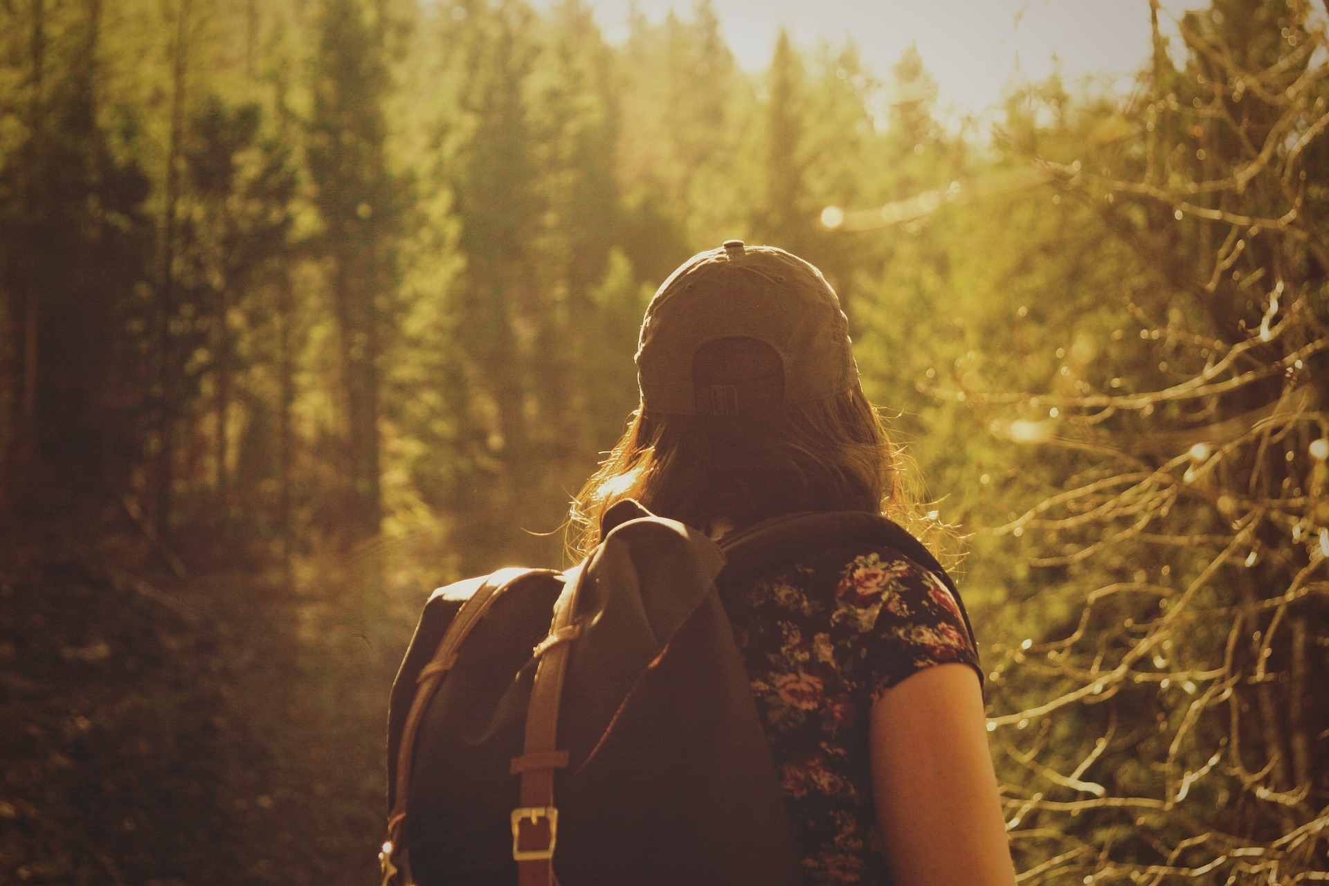 Bain de forêt et ressourcement dans les Alpes du Sud !