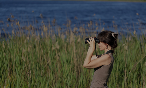 Séjour ornithologique en Camargue