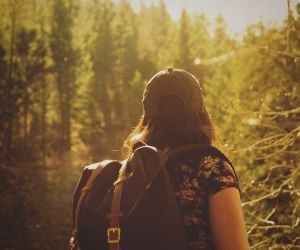 Bain de forêt et ressourcement dans les Alpes du Sud !