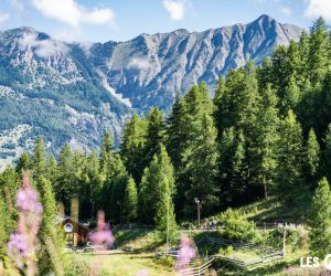 Séjour bouffée d’air frais pendant les JO à la montagne